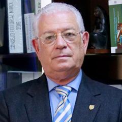 josé rafael espaillat inesdyc